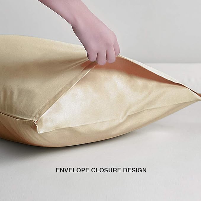 FLXXIE Microfiber Pillow Cases Queen Size Set of 2, Soft Pillowcases with Envelope Closure, Wrinkle Resistant Pillow Covers, 20x30, Light Taupe