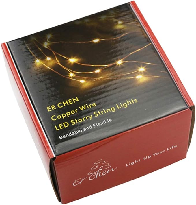 ER CHEN 99ft Led String Lights,300 Led Fairy Starry Lights on 30M Copper Wire String Lights + 12V DC Power Adapter + RF Remote Control for Christmas (Warm White)