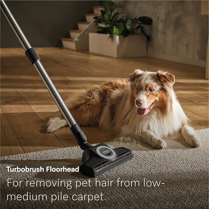 New Miele Guard L1 Cat & Dog Bagged Canister Vacuum for Pet Owners with Odor-Reducing Active AirClean Filter, TurboTeQ Floorhead, and AllTeQ Universal Floorhead, in Obsidian Black/Rose Gold