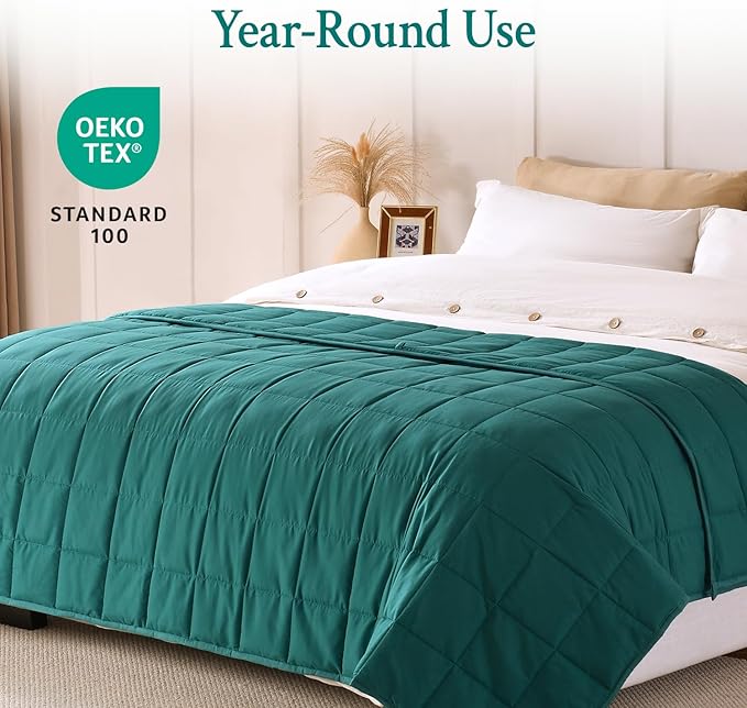 Topblan Weighted Blanket for Adults 15lbs, Soft Cooling Weighted Blankets, Breathable Heavy Blanket with Glass Beads for All Season, Sofa Bed, 60"x80" Queen Size