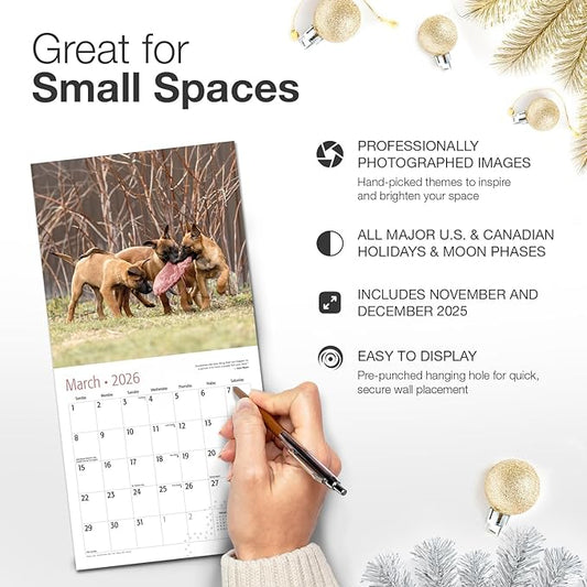 RED EMBER Puppies 2026 Mini Wall Calendar 12 Month | 7" x 14" Open | Thick & Sturdy Paper | Holiday Gift | Cute Puppy Dog Calendar 2026