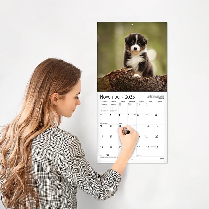 RED EMBER Puppies 2025 Wall Calendar 12 Month | 12" x 24" Open | Thick & Sturdy Paper | Giftable | Dog Calendar 2025