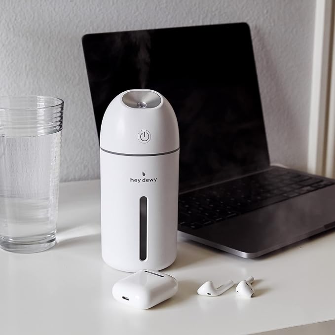 Hey Dewy Portable Facial Hydrating Cool Mist Humidifier (USB Wired Version)