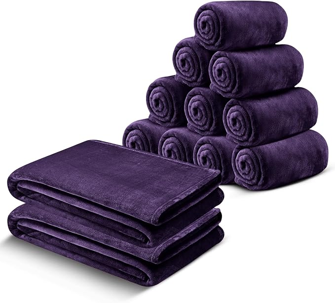 IR Imperial Rooms Fleece Blanket 12 Pack Twin Size 60 x 80 Inches - Super Soft Fluffy Throw Blanket for Sofa and Bed - Warm and Cozy Lightweight 400 GSM Microfiber Bed Throws Blankets (Twin, Purple)