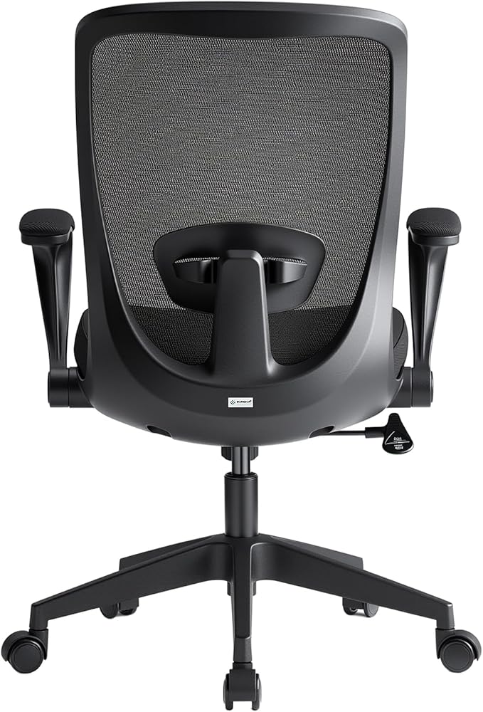 EUREKA ERGONOMIC Armis Ergonomic Office Chair with Back Support Flip up Arms, Home Office Desk Chair for Space Saving, Black, Breathable Backrest Mesh