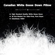 Canadian Goose Down Pillows Queen Size Set of 2,80% Goose Down and 20% Goose Feathers Goose Feathers,1650+ Fill Power White Down Pillow with 800 Thread Count Cotton Shell (White 20