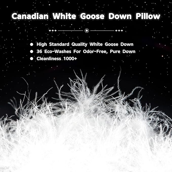 Canadian Goose Down Pillows Queen Size Set of 2,80% Goose Down and 20% Goose Feathers Goose Feathers,1650+ Fill Power White Down Pillow with 800 Thread Count Cotton Shell (White 20"x30" 2 Pack)