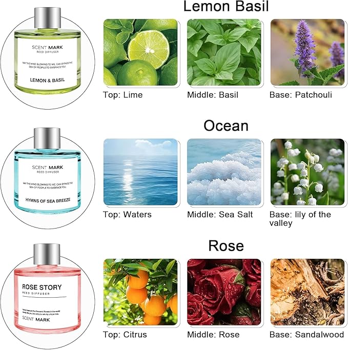 Reed Diffuser Set of 3 Pack,50ML Lemon Basil Ocean Rose Scented Oil Diffuser with 5 Sticks,Home Fragrance Reed Diffuser for Bedroom Bathroom Office (Lemon Basil/Ocean/Rose)