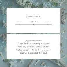 ScentAir Whisper Home Monthly Plug-in Refill, Fragrance Cartridge for Home and Office, Seaside Driftwood