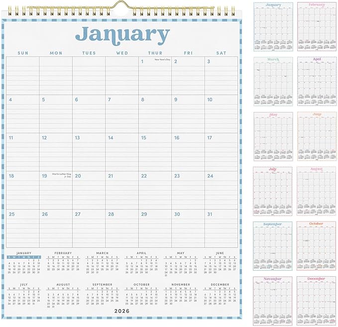 PAPERAGE 2026 Calendar, 12 Months (January 2026 - December 2026), Large (11.4 in x 14.76 in), Spiral Bound, 2026 Vertical Wall Calendar with Monthly & Yearly Views, Premium Paper - Pastel