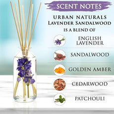 Urban Naturals Lavender Sandalwood Essential Oil Reed Diffuser Set with Natural Bamboo Reeds Sticks | Aromatic Lavender, Golden Amber & Woods | Vegan. Made in The USA