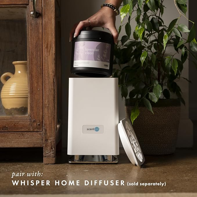 ScentAir Whisper Home Monthly Plug-in Refill, Fragrance Cartridge for Home and Office, Amazon Exclusive, Lavender & Ylang