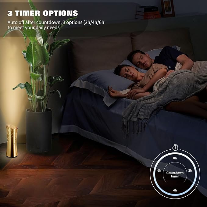 Uplighting Indoor Floor Can Light, 2700K to 6500K Up Lights Indoor with Remote & Timer, 3 Color Temperatures Accent Lighting Spot Lights Indoor for Home Plant Picture, 5.9ft Cord, 1 Pack