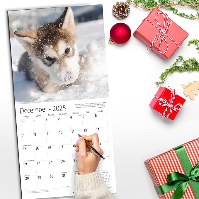 RED EMBER Puppies 2025 Wall Calendar 12 Month | 12" x 24" Open | Thick & Sturdy Paper | Giftable | Dog Calendar 2025