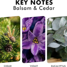 Reed Diffusers for Home, Balsam & Cedar Diffuser with Sticks, 3.7 Oz Scented Fragrance Oil Diffuser for Bedroom, Bathroom Decor