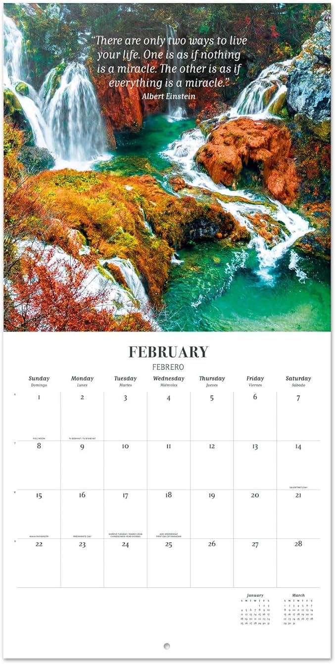 Zen Nature Wall Calendar 2026 12" x 12" FSC® Plastic Free - Starts Week On Sunday | Family Planner Art Calendar 2026