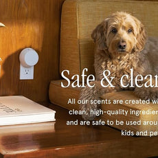 Pura x Studio McGee Smart Home Air Diffuser - Smart Air Diffuser - Up to 120-Hours of Luxury Fragrance per Refill - Spring & Summer Fragrance - 2 Pack, Jasmine Honeysuckle