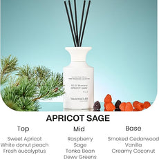 M&SENSE Reed Diffuser Set, 10.14 fl oz Large Reed Diffuser, Apricot Sage Scented with Natural Essential Oils, Long Lasting with 7 Sticks, Non-Toxic Home Fragrance Reed Diffuser for Bedroom, Bathroom