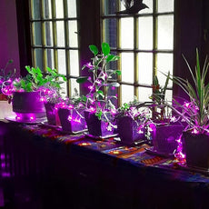 Fairy Flower String Lights, USB & Battery Lighted Decorative Cute Cherry Blossom Indoor Bedroom Window Hanging, Novelty Floral Lamp for Christmas Easter Wedding Party Birthday Décor (Pink)