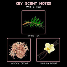 LOVSPA Reed Diffuser Set, White Tea Scented Oil Diffuser with Sticks, Home Fragrance Accessories for Bathroom Shelf Decor, Aroma Diffusers for Home or Office Desk, USA Made