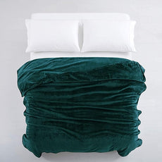 IR Imperial Rooms Fleece Blanket Twin Size 60 x 80 Inches - Super Soft Fluffy Throw Blanket for Sofa and Bed - Warm and Cozy Lightweight 400 GSM Microfiber Bed Throws Blankets (Twin, Emerald)