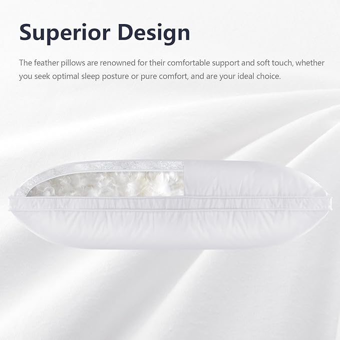 Standard Size Down Pillow - Single Goose Feather & Down Pillow 440 Fill Power with 100% Cotton Cover, Hypoallergenic, Medium Support