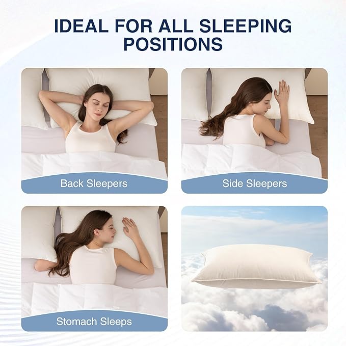 UNIKOME White Goose Down Feather Pillows - 100% Organic Cotton Cover - King Size Pillow Set of 2, Made in Japan Pillow for Sleeping
