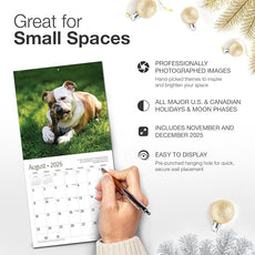 RED EMBER Bulldog Puppies 2026 Mini Wall Calendar 12 Month | 7