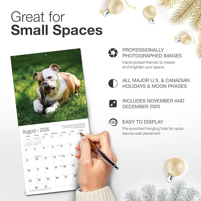 RED EMBER Bulldog Puppies 2026 Mini Wall Calendar 12 Month | 7" x 14" Open | Thick & Sturdy Paper | Holiday Gift | Cute Puppy Dog Calendar 2026
