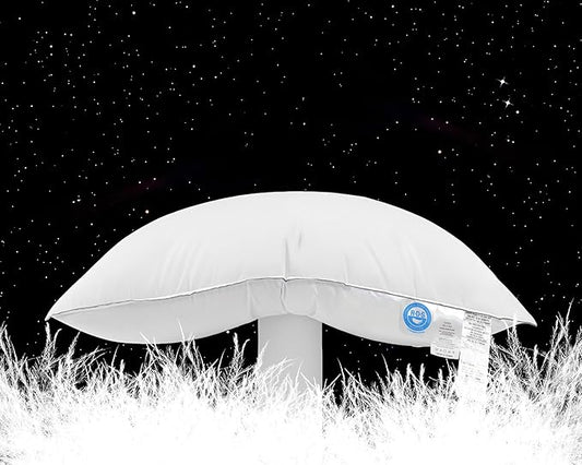 Canadian Goose Down Pillows King Size 80% Goose Down and 20% Goose Feathers, 1940+ Fill Power White Down Pillow with 800 Thread Count Cotton Shell, Ultra Comfort Bed Pillows(White 20"x36" 1 Pack)