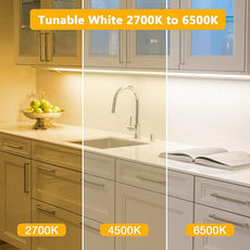 DAYBETTER COB LED Strip Lights, Tunable White(2700K-6500K) COB LED Lights with 6080 LEDs, 24V Adapter, RF Remote, Dimmable High Density Uniform LED Strip for Bedroom, Kitchen, Cabinet, CRI90+, 32.8ft