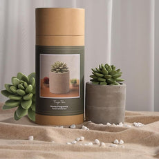 Reed Diffuser Set, Pretty Valley Home Succulent Gypsum Ceramic Fragrance Diffuser Vase Set - Frozen Pear 3.38 fl oz (100 ml), Home Fragrance Reed Diffuser for Bathroom Office Living Room Decor