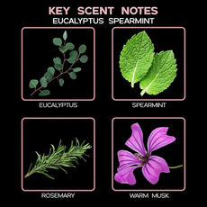 LOVSPA Reed Diffuser Set, Unwind Eucalyptus & Mint Scented Oil Diffuser with Sticks, Home Fragrance Accessories for Bathroom Shelf Decor, Aroma Diffusers for Home or Office Desk, USA Made