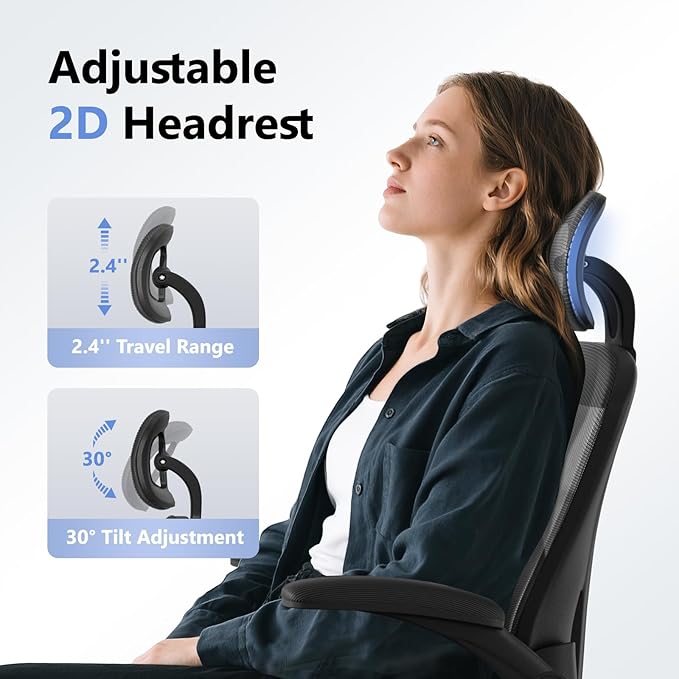 Ergonomic Office Chair M903, Computer Desk Chair with Wheels, High Back Mesh Office Chair with Adjustable Lumbar Support, Headrest, Flip-Up Armrests, Black