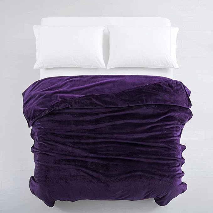 IR Imperial Rooms Fleece Blankets Queen Size 90 x 90 Inches - Super Soft Fluffy Purple Throw Blanket for Sofa and Bed - Warm and Cozy Lightweight 400 GSM Microfiber Bed Throws Blankets