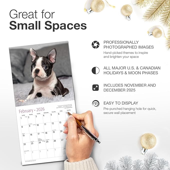 RED EMBER Boston Terrier Puppies 2026 Mini Wall Calendar 12 Month | 7" x 14" Open | Thick & Sturdy Paper | Holiday Gift | Cute Puppy Dog Calendar 2026