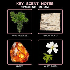 LOVSPA Reed Diffuser Set, Sparkling Balsam Scented Oil Diffuser with Sticks, Home Fragrance Accessories for Bathroom Shelf Decor, Aroma Diffusers for Home or Office Desk, USA Made