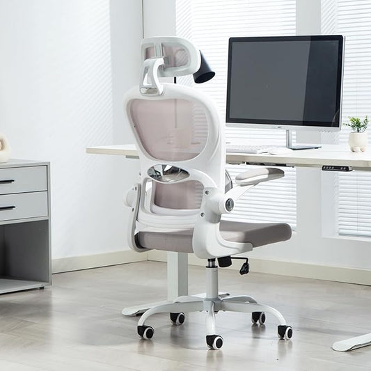 Yilaywain Ergonomic Office Chair, Home Office Desk Chair with Adjustable Headrest, High Back Computer Chair with Armrests and Lumbar Support for Home Office Study Room, Black & Gray (Grey)