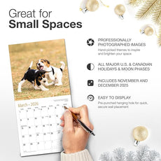 RED EMBER Beagle Puppies 2026 Mini Wall Calendar 12 Month | 7