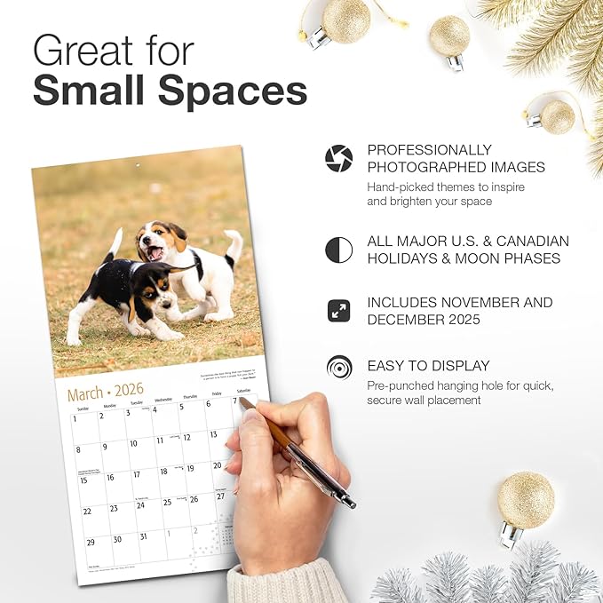 RED EMBER Beagle Puppies 2026 Mini Wall Calendar 12 Month | 7" x 14" Open | Thick & Sturdy Paper | Holiday Gift | Cute Puppy Dog Calendar 2026