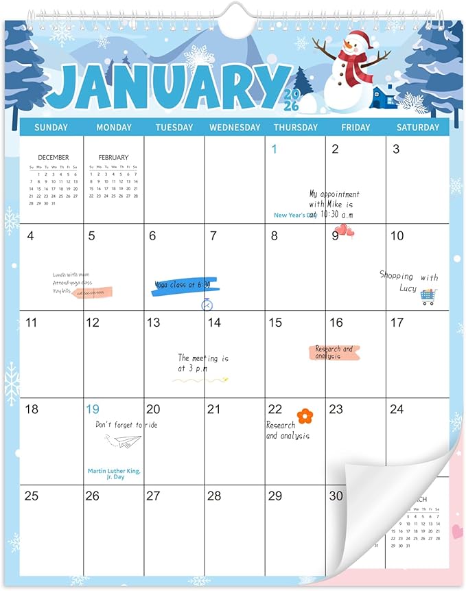 Wall Calendar 2026-2027, 18 Month Calendar from January 2026 to June 2027 14.5" x 11.8" Large Desk Calendar with Twin-Wire Binding for Home Office Planning Personal Organisers, Festival Style