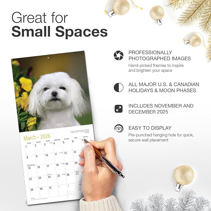RED EMBER Maltese 2026 Mini Wall Calendar 12 Month | 7" x 14" Open | Thick & Sturdy Paper | Holiday Gift | Cute Puppy Dog Calendar 2026