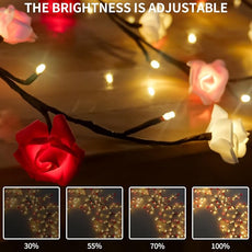 Rose Blossom Enchanted Willow Vine Lights, 7.55FT 144LED 3 Color Rose Blossom Tree Branch Lights for Wall, Remote Timer,8 Light Model,Bedroom Wall Doors Wedding, Christmas, USB Battery Box