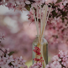 Urban Naturals Flower Shop Reed Diffuser Gift Set | Violets, Daisies, Hyacinth & Rose Fragrance Notes | Real Flower Inside The Bottle! Made in The USA | Great Gift for Mom