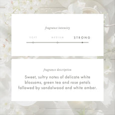 ScentAir Whisper Home Monthly Plug-in Refill, Fragrance Cartridge for Home and Office, White Blossom Tea