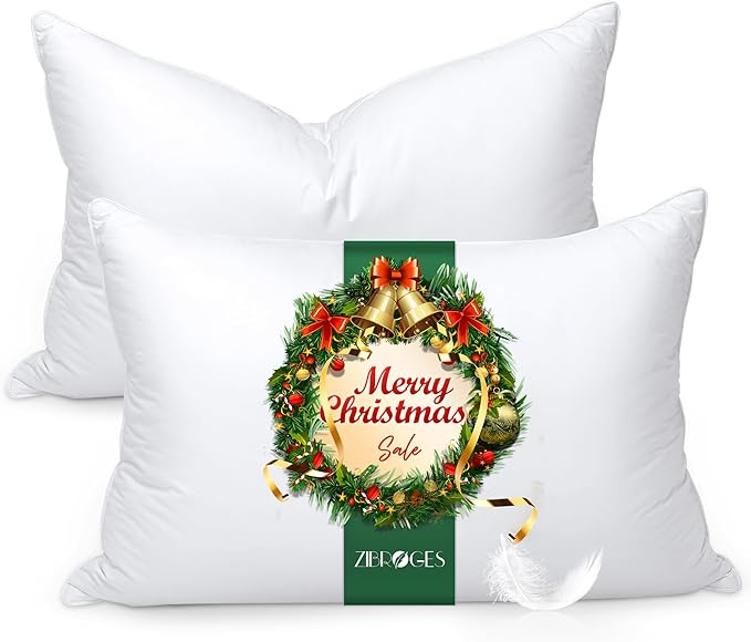 Goose Feather Pillow Queen Size Set of 2 - Soft and Firm Two Sides Optional, Down Hotel Bed Pillows for Sleeping, Fluffy Support Surround Fill Polyester for Back, Stomach, Side Sleepers