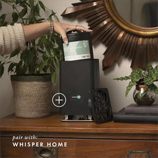 ScentAir Whisper Home Monthly Plug-in Refill, Fragrance Cartridge for Home and Office, Eucalyptus Mint