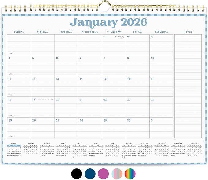 PAPERAGE 2026 Calendar, 12 Months (January 2026 - December 2026), Medium (11.5 in x 14.75 in), Minimalist Wall and Desk Calendar with Monthly Views, Yearly Plans & Notes Section – Pastel