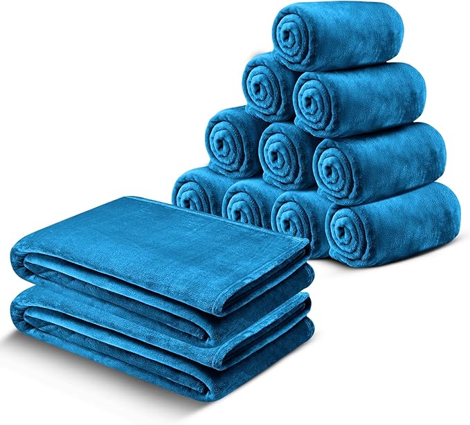 IR Imperial Rooms Fleece Blanket 12 Pack Twin Size 60 x 80 Inches - Super Soft Fluffy Throw Blanket for Sofa and Bed - Warm and Cozy Lightweight 400 GSM Microfiber Bed Throws Blankets (Twin, Teal)