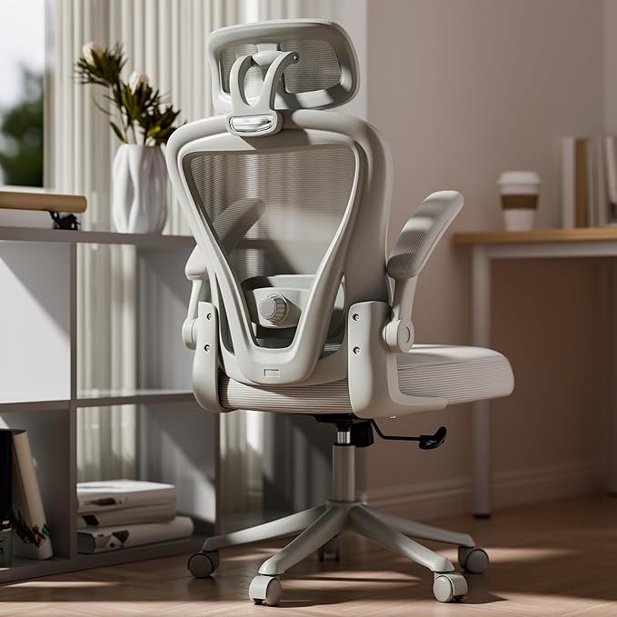 Ergonomic Office Chair M903, Computer Desk Chair with Wheels, High Back Mesh Office Chair with Adjustable Lumbar Support, Headrest, Flip-Up Armrests, All-Grey